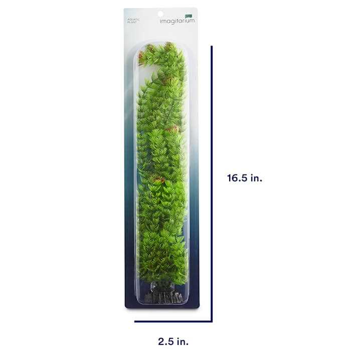 Extra Large Green Plastic Ambulia S750715