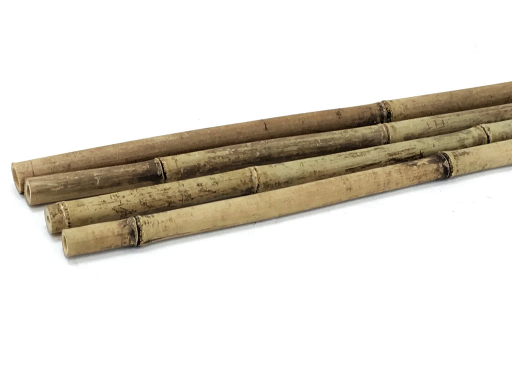 6' Natural Bamboo Garden Stakes (25 Pieces) S100227