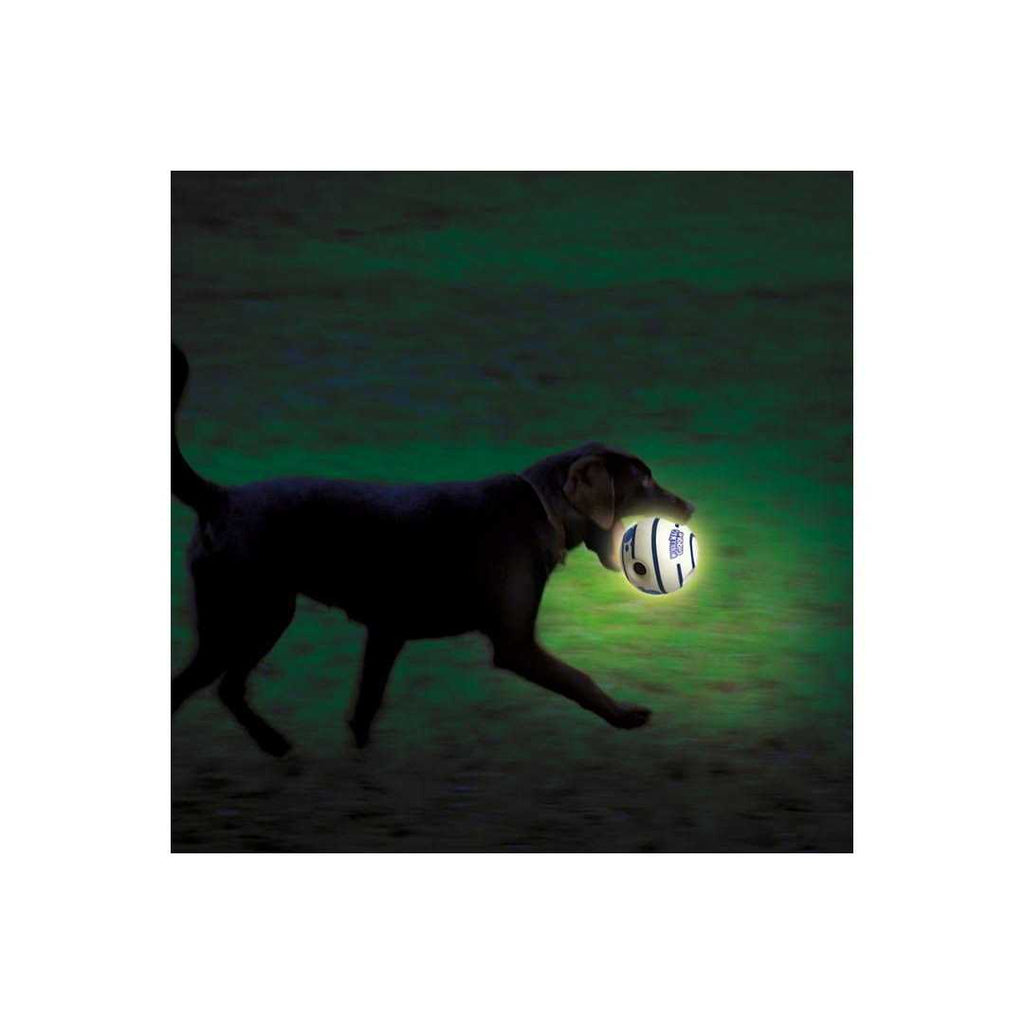 Glow in the Dark Interactive Dog Toy R649751