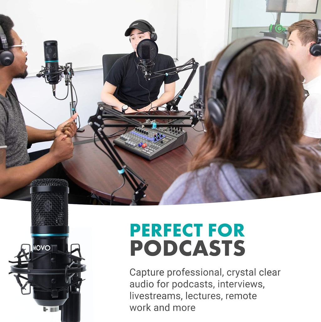 2-Pack Cardioid Condenser Microphone Kit with Scissor Arm Mic Stand, Shock Mount and Gooseneck Pop Filter Y8536