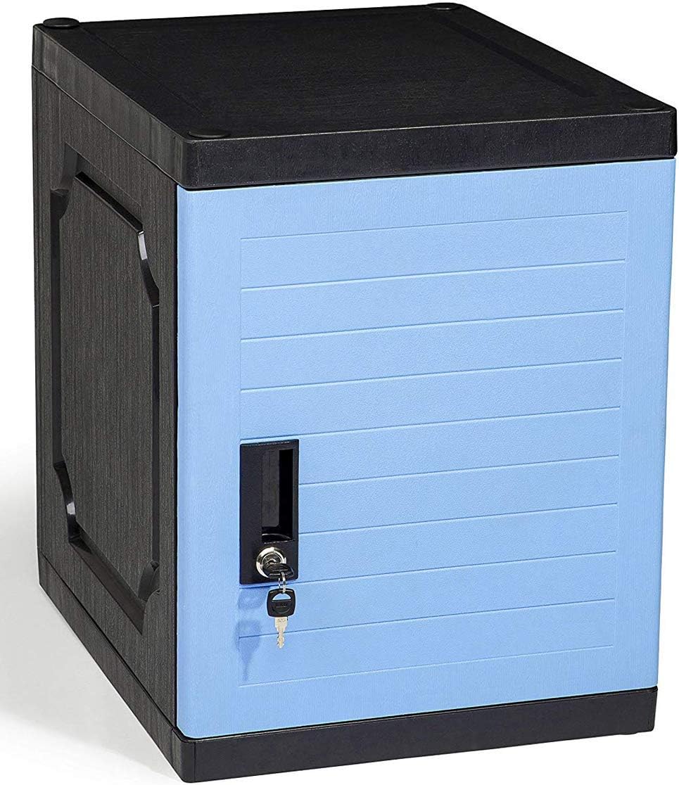 Lockable Storage Cabinet with Keys J20931