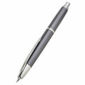 Dark Gray Mica Fountain Pen V90114