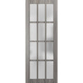 Frosted Glass 12 Lites Slab Barn Door Panel X3692