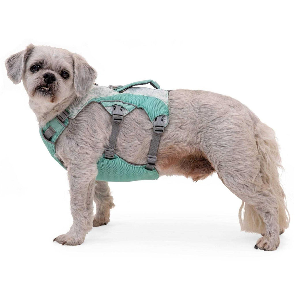 Dog Harness Z404197
