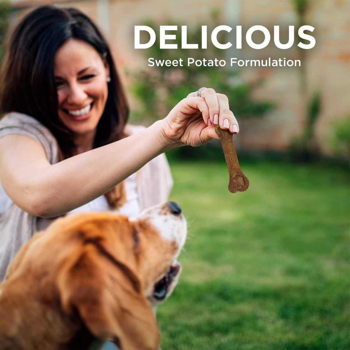 Bioactive Fresh Mouth Dental Chews Y931