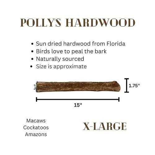 Hardwood Bird Perch T2473