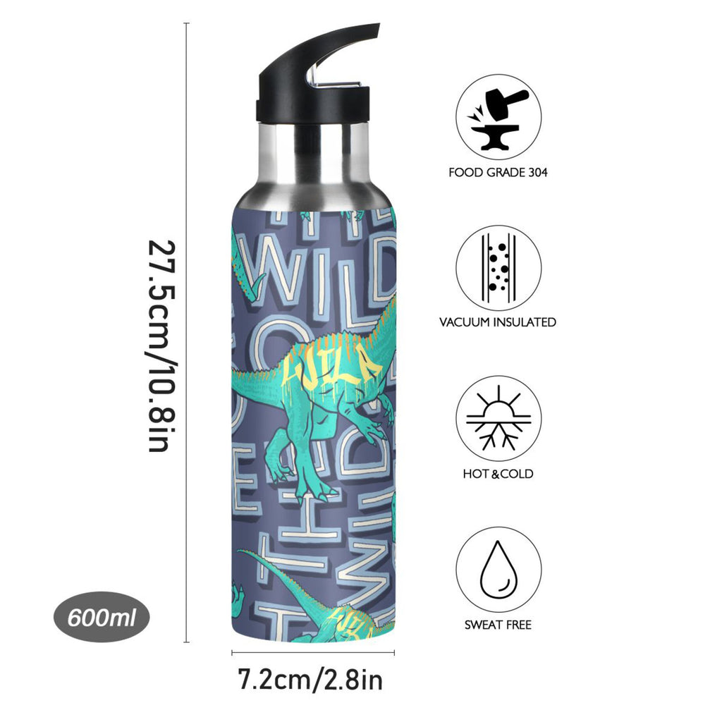 Stainless Steel Insulated Water Bottle with Straw Lid X964