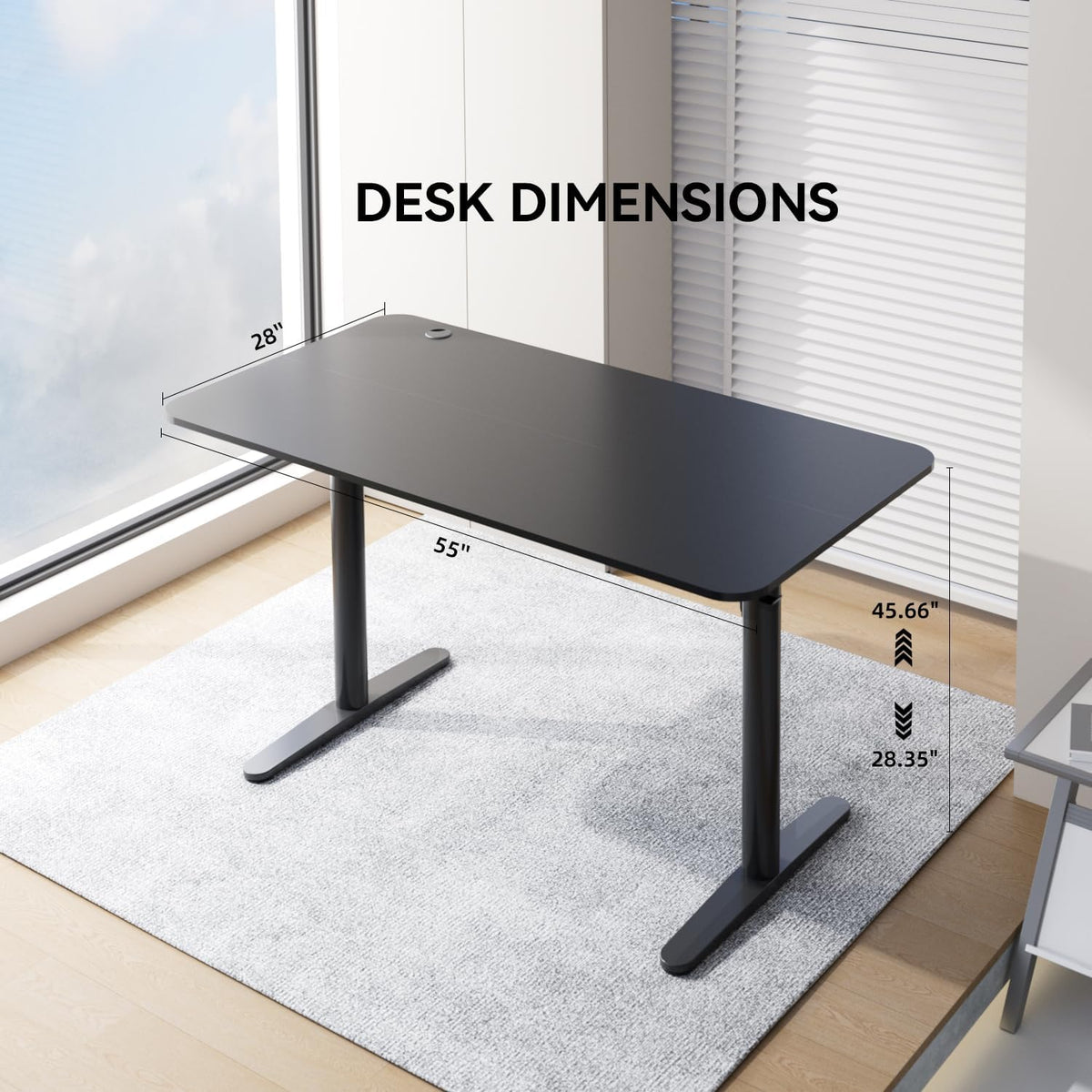 Adjustable Standing Desk (Black, 55 * 28 inch) D89118