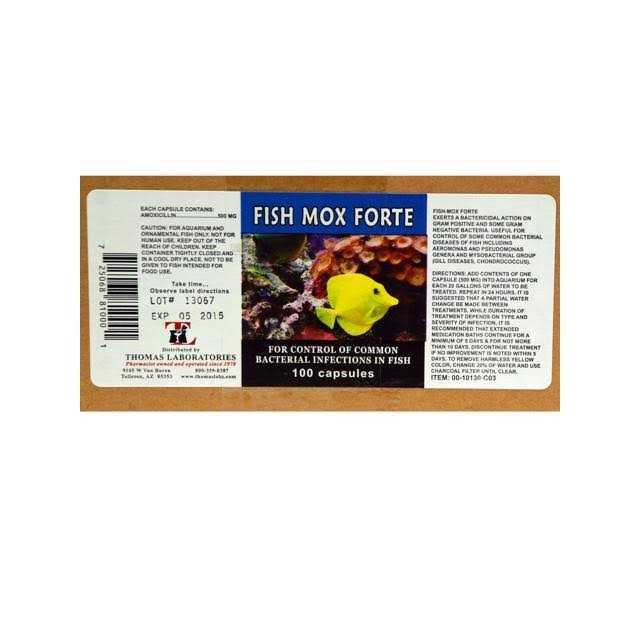 Fish Flex Forte 500 mg 100 Capsules N120319