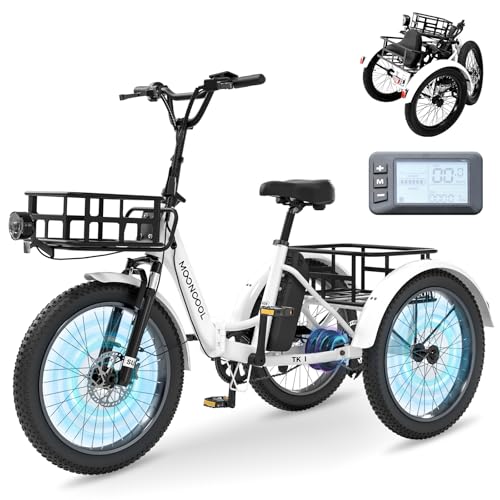 Folding Electric Tricycle with Aluminum Frame and Removable Battery C125