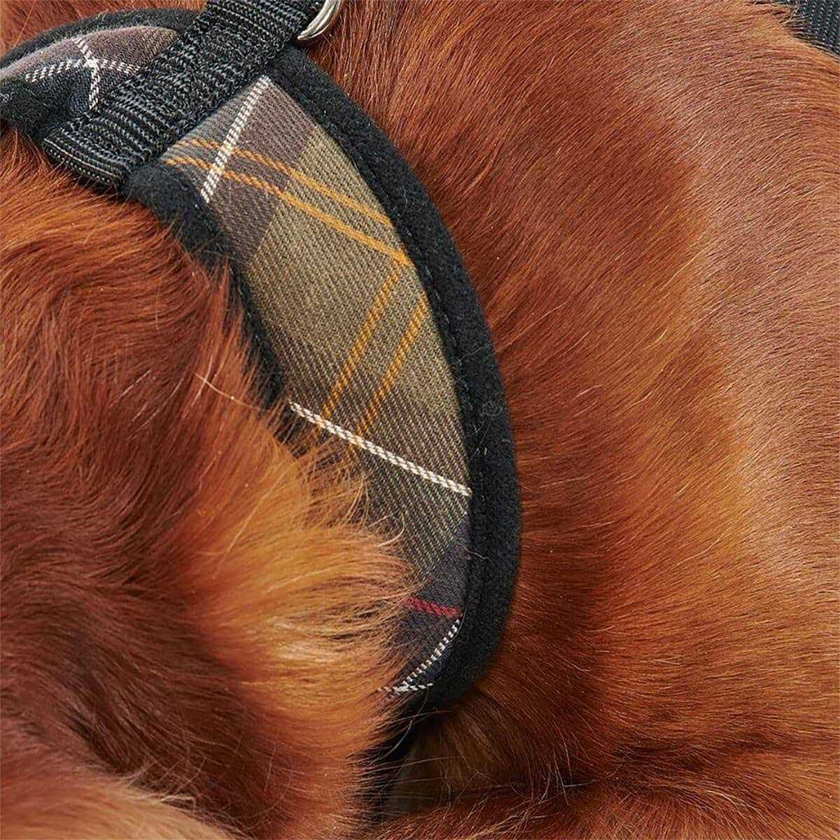 Tartan Dog Harness F364180