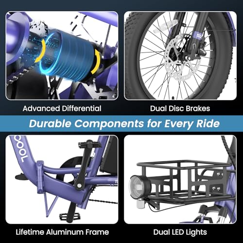Folding Electric Tricycle with Aluminum Frame and Removable Battery C125