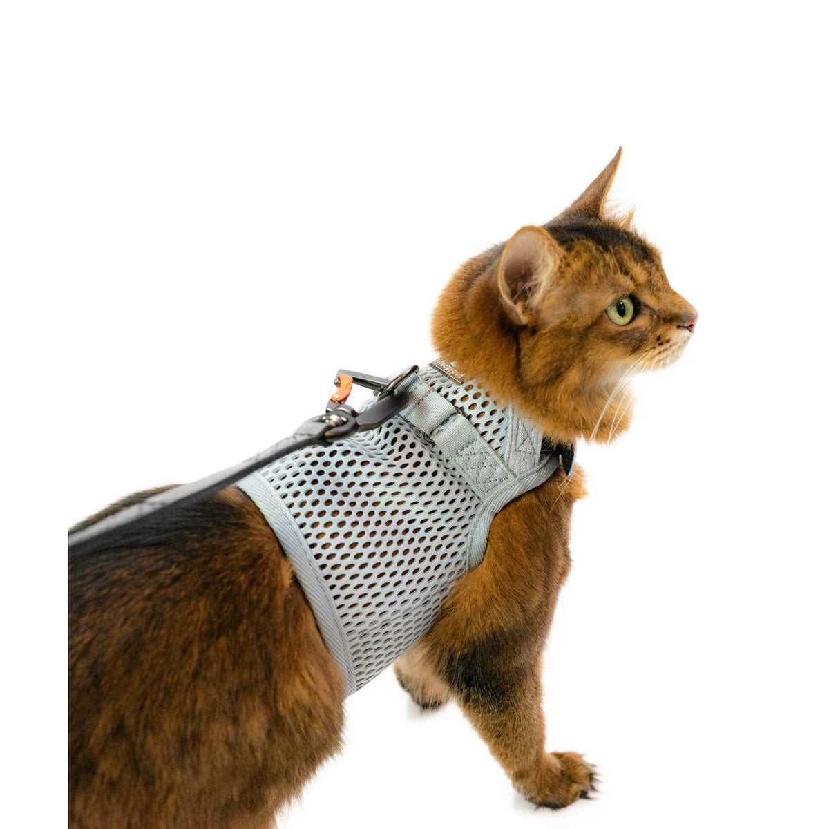 Cat Harness G233