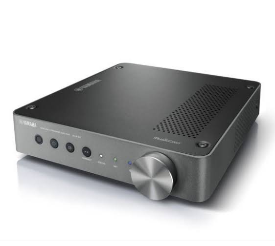 Wireless Streaming Amplifier N81918