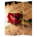 Music Screen C520