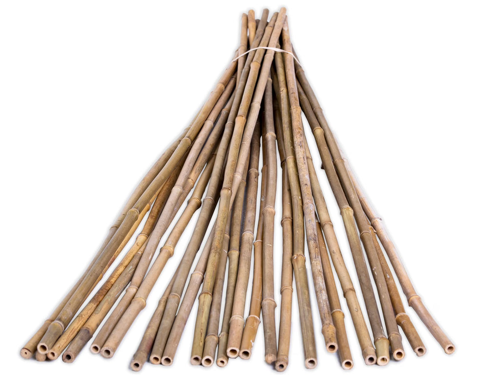 6' Natural Bamboo Garden Stakes (25 Pieces) S100227