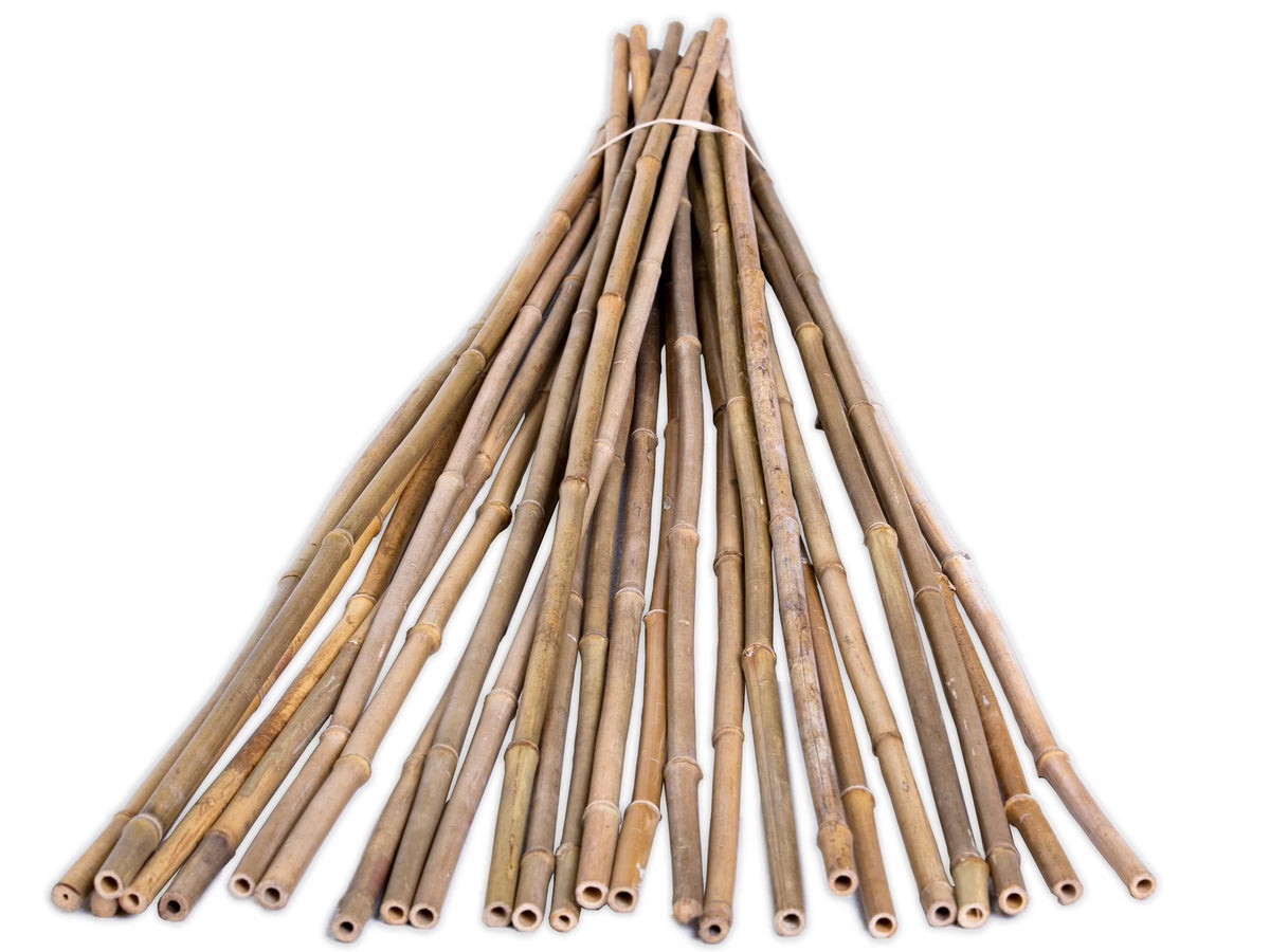 6' Natural Bamboo Garden Stakes (25 Pieces) S100227