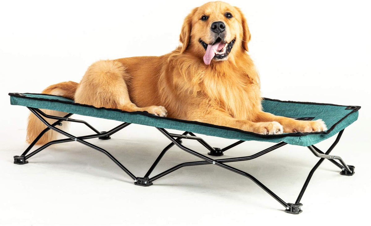 47 inches Large Elevated Dog Bed Cot with Breathable Mesh U23939