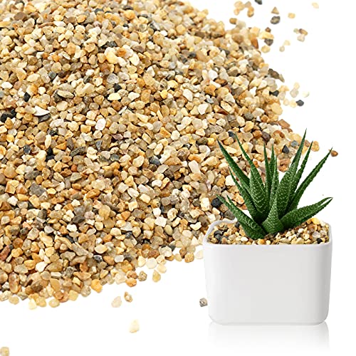 5 lb Coarse Sand Stone Decorative Gravel V4085