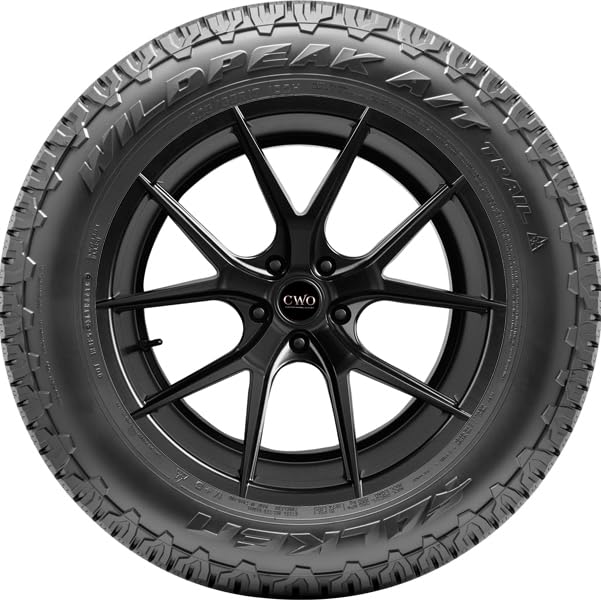 215/65R17 99H All Terrain Tire S22876