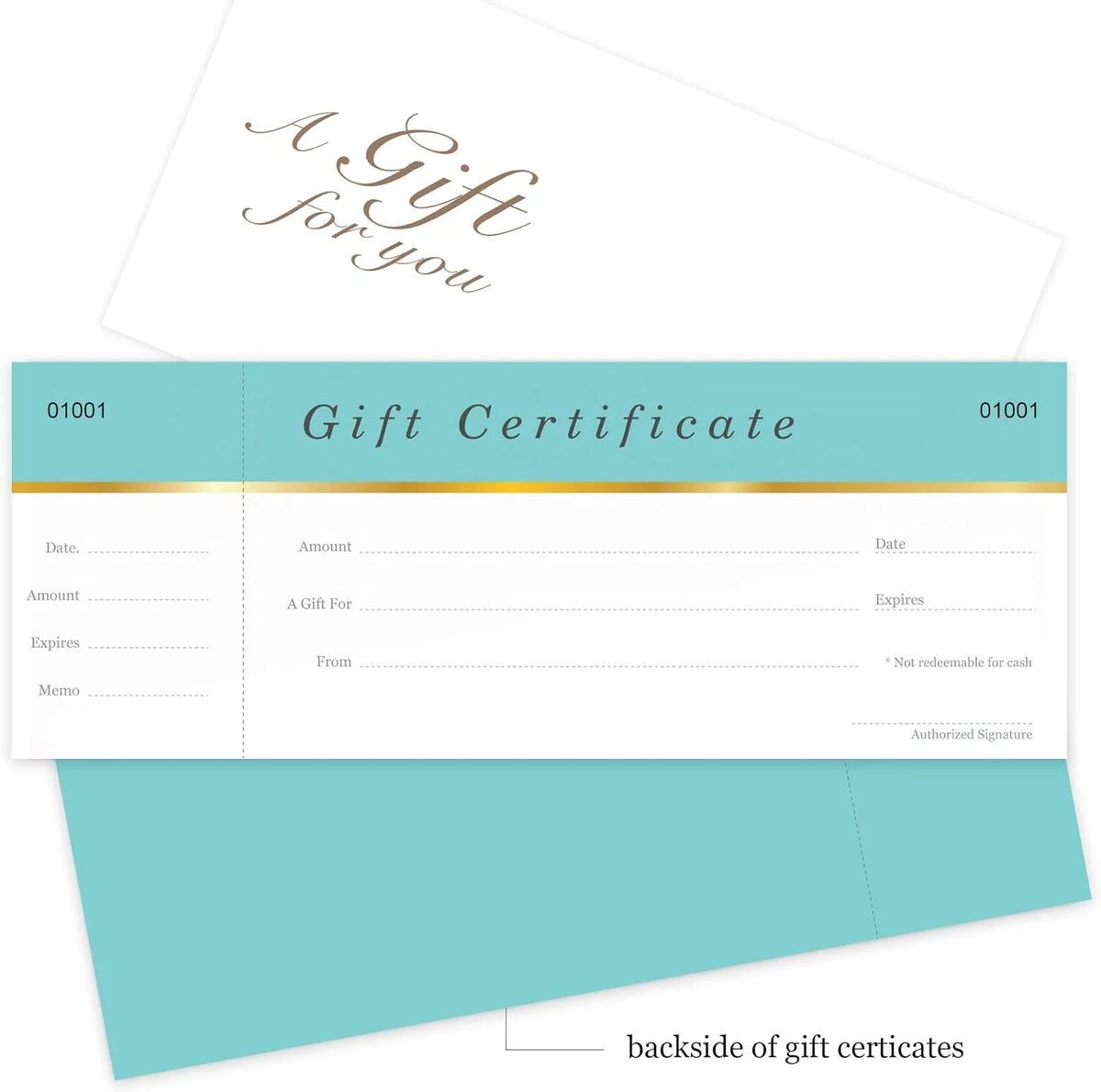 25 Set Aqua Blue Blank Gift Certificates with Matching Envelopes P917179