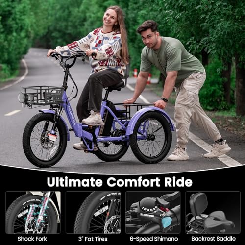 Folding Electric Tricycle with Aluminum Frame and Removable Battery C125