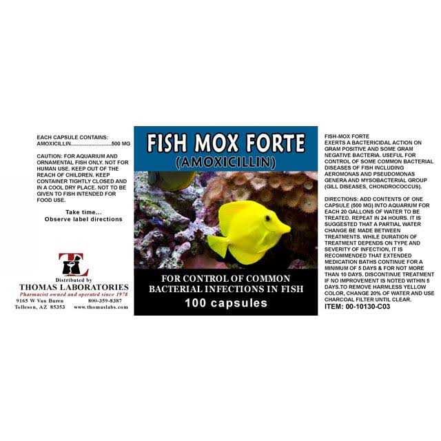 Fish Flex Forte 500 mg 100 Capsules N120319