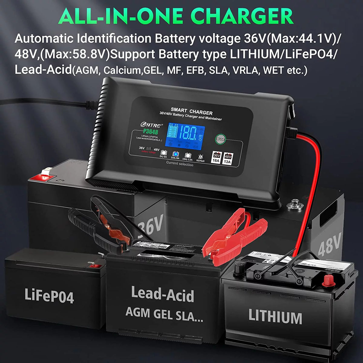 36V/48V 18-Amp Smart Golf Cart Battery Charger D5494