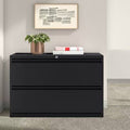 2-Drawer Lateral Filing Cabinet Black Z804074