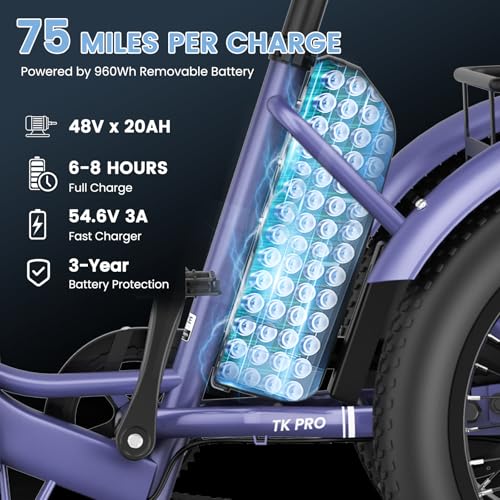 Folding Electric Tricycle with Aluminum Frame and Removable Battery C125