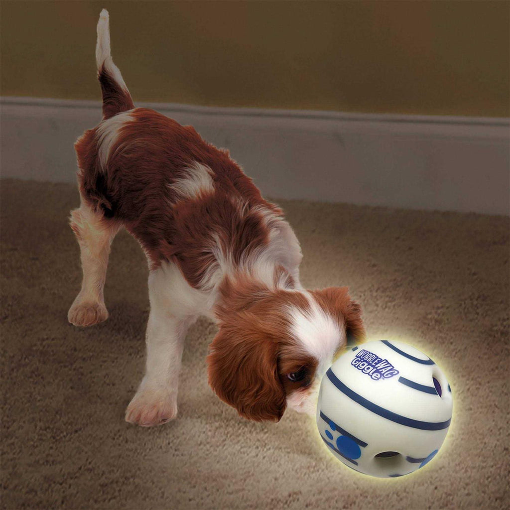 Glow in the Dark Interactive Dog Toy R649751