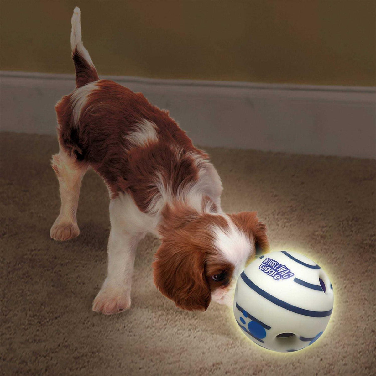 Glow in the Dark Interactive Dog Toy R649751