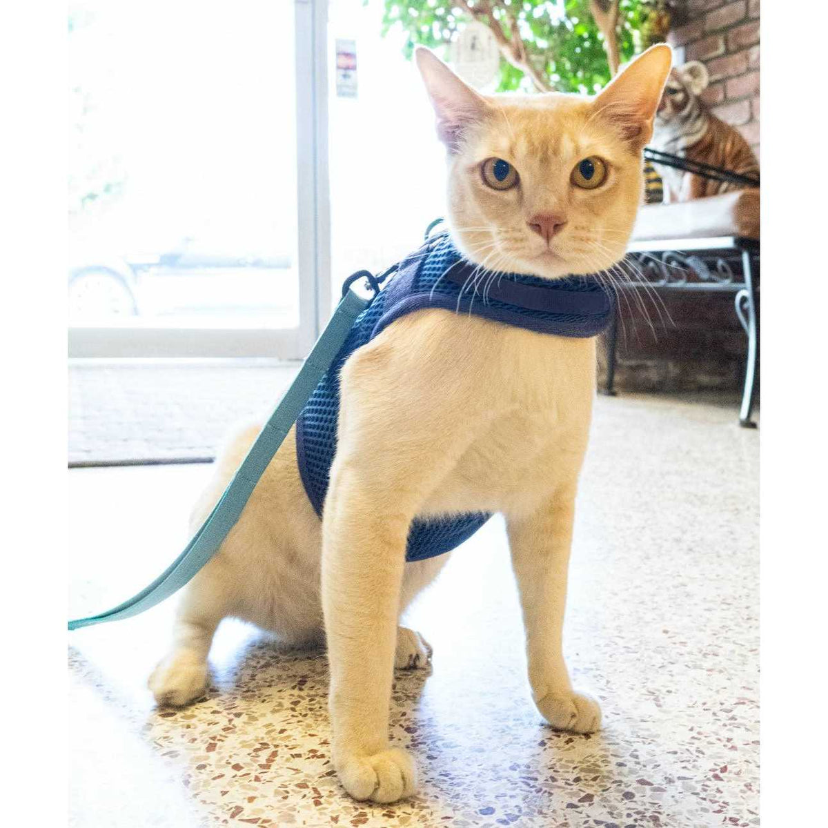 Cat Harness G233