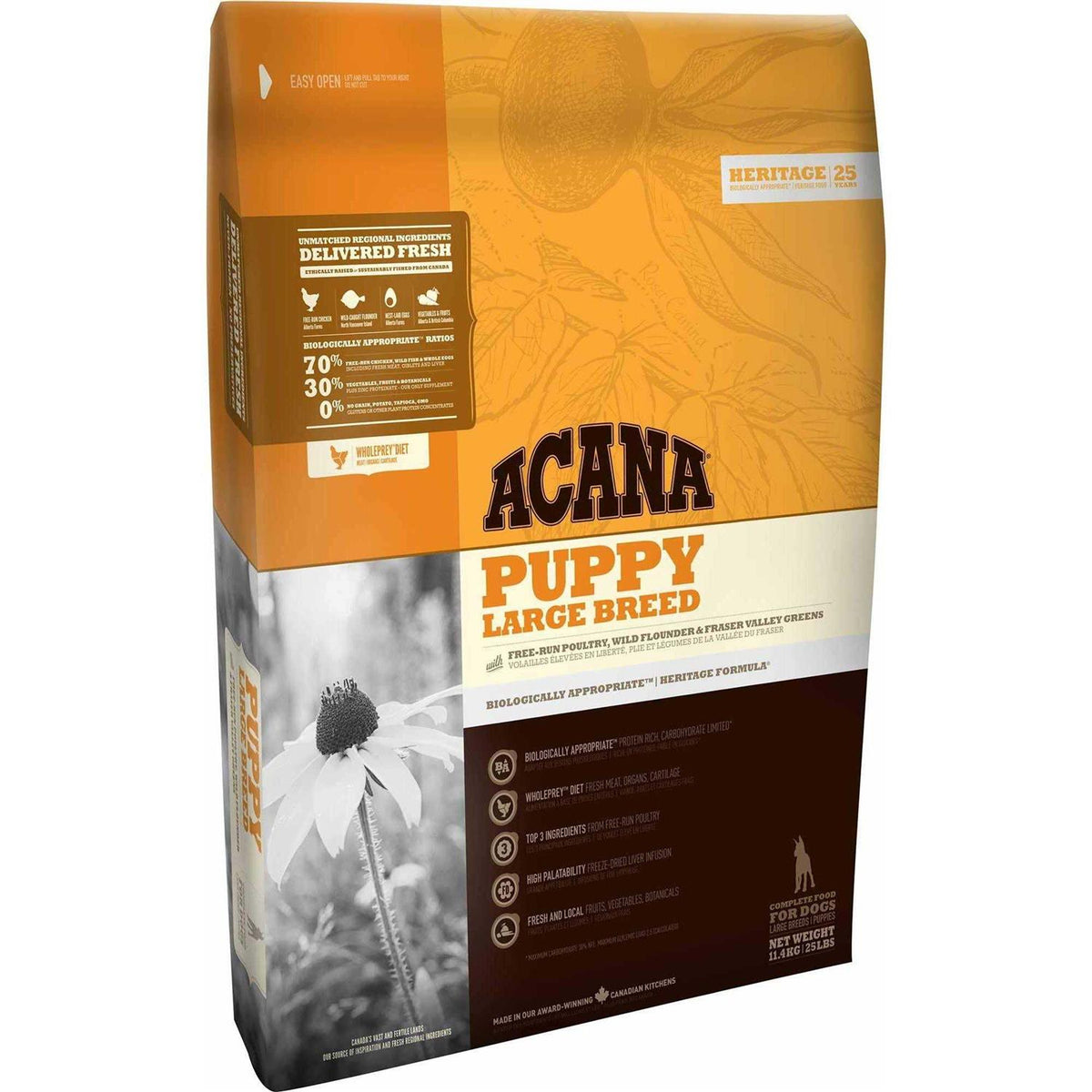 Puppy Large Breed M596669