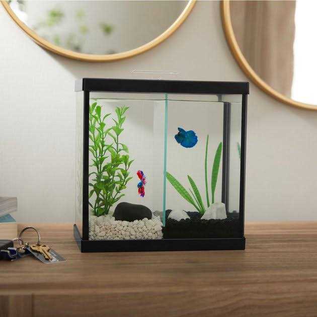 2 Betta Aquarium with Divider/Top K66150