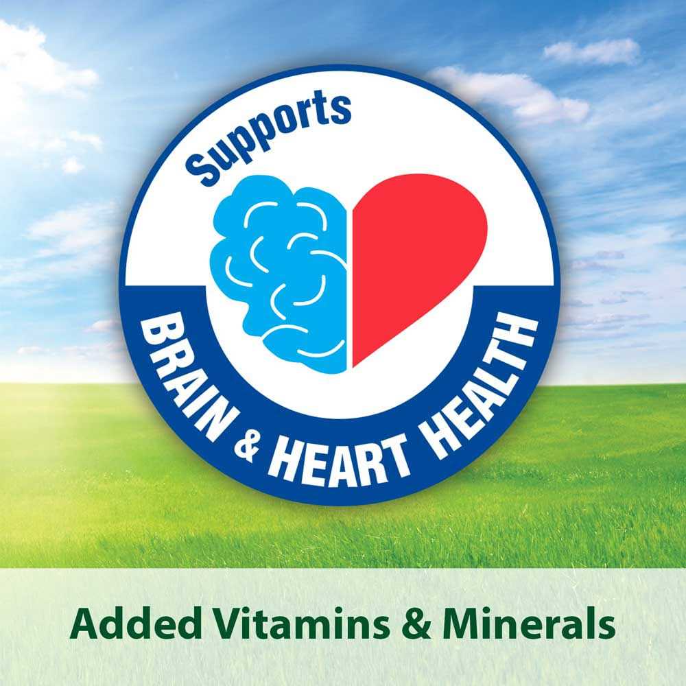 Conure Food N35839