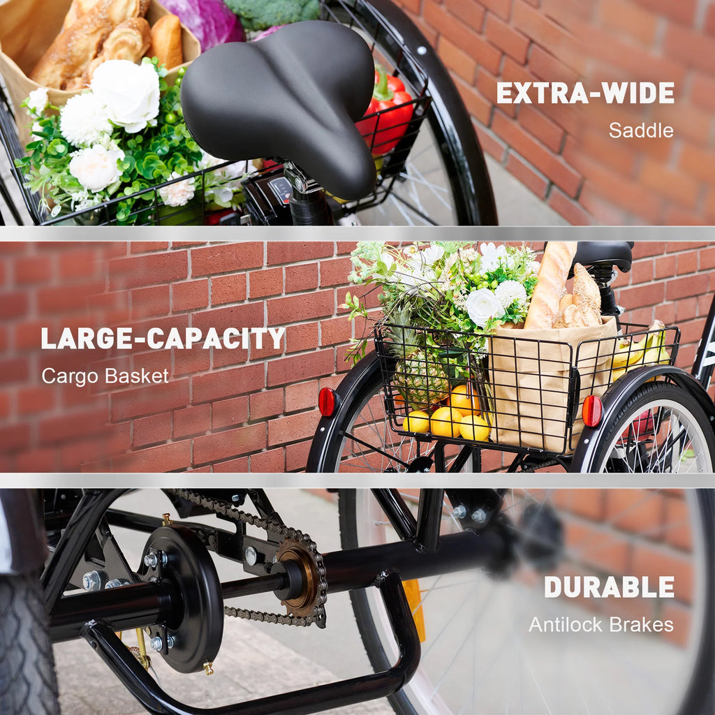Black 250W 3 Wheel Electric Tricycle Z26712