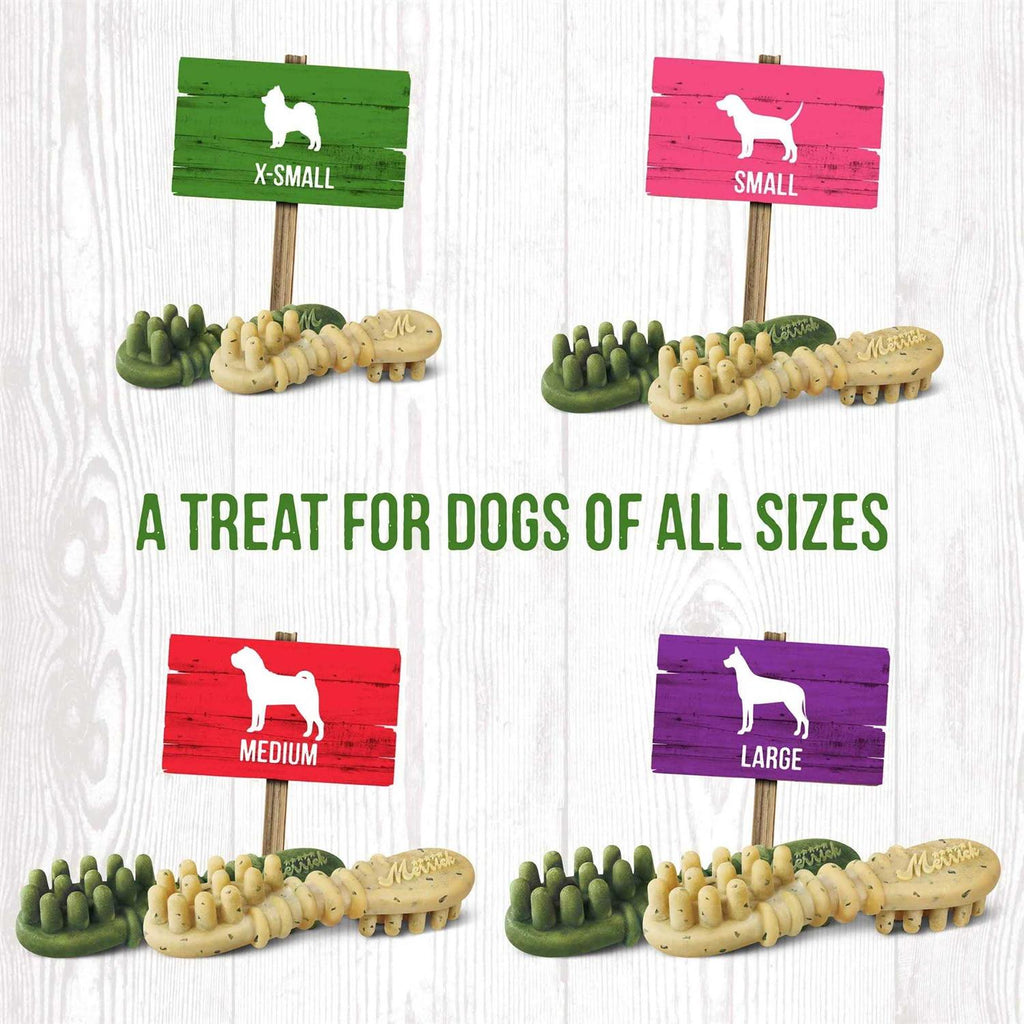 Fresh Kisses Pumpkin Cinnamon Dog Treats F8785