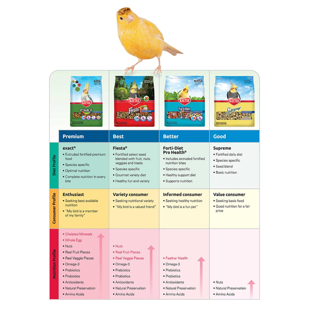 Conure Food N35839