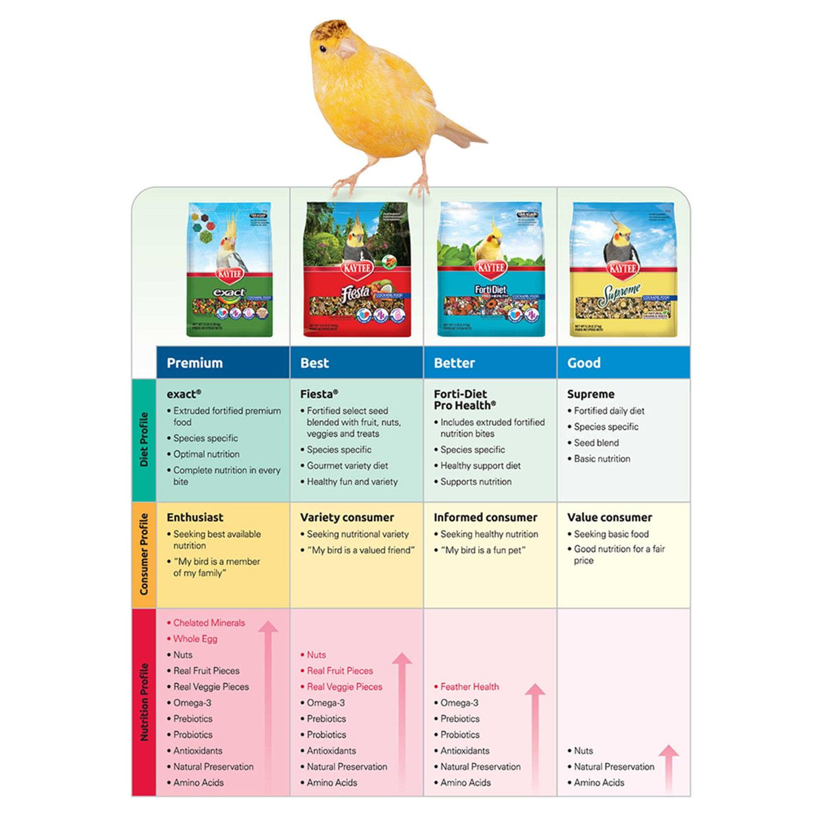Conure Food N35839