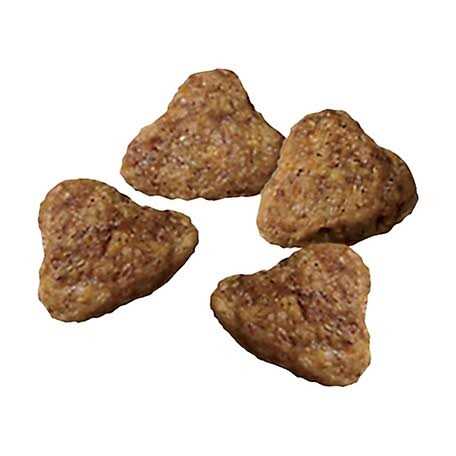 Dry Dog Food K92990