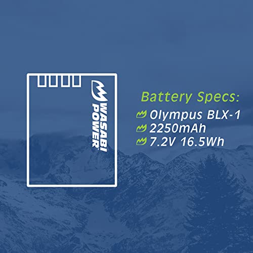 Battery 2-Pack S54117