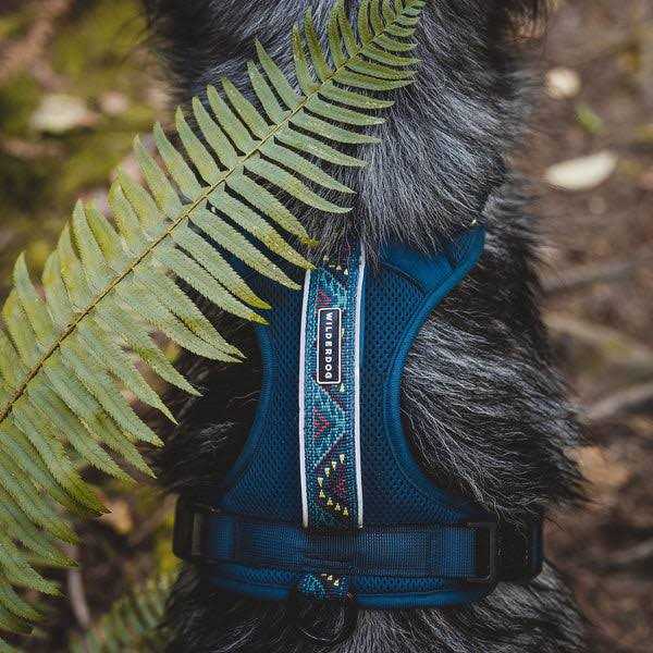 Harness W260103