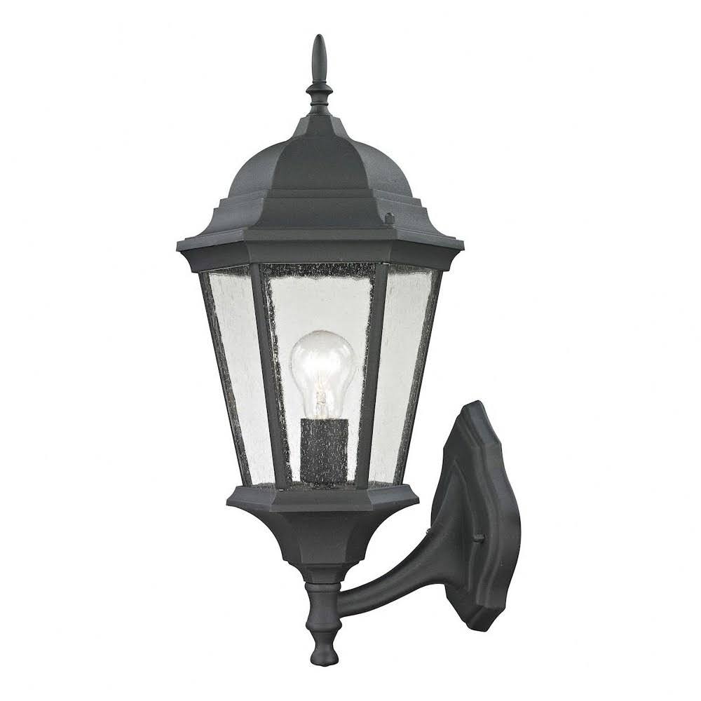 Large Outdoor Wall Lantern with Exposed Bulb Black C4671