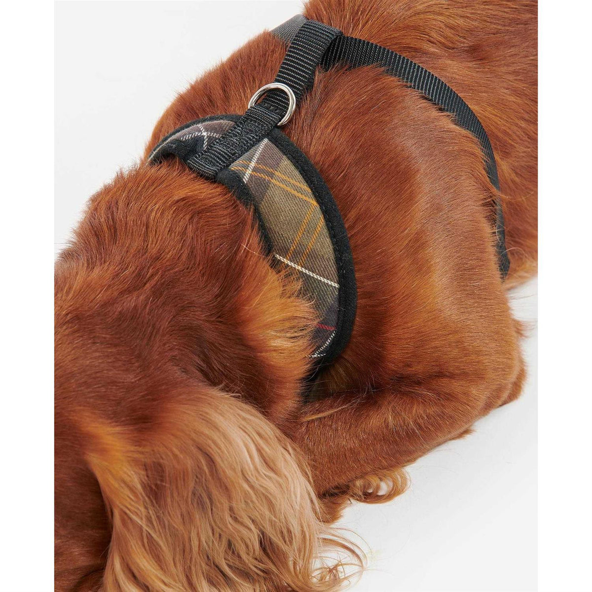 Tartan Dog Harness F364180