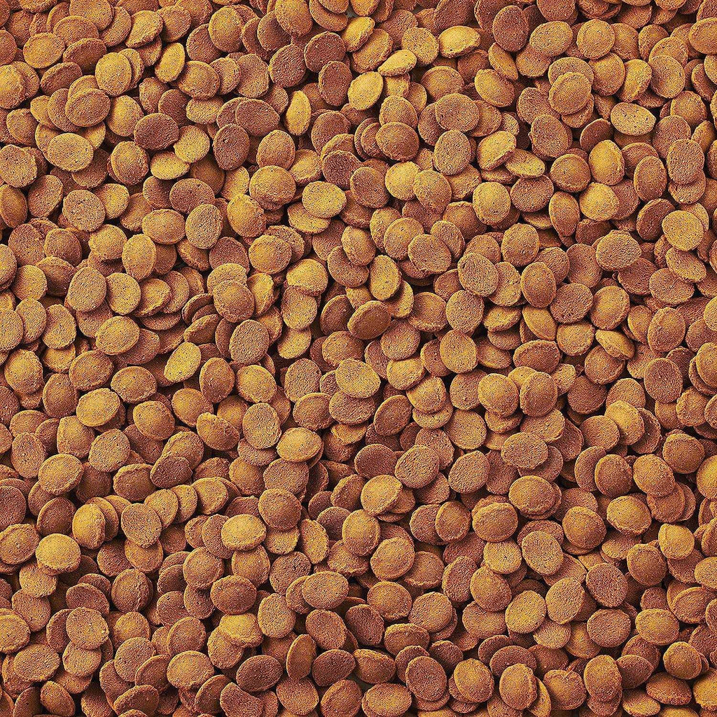Fish Food Wafers I750370