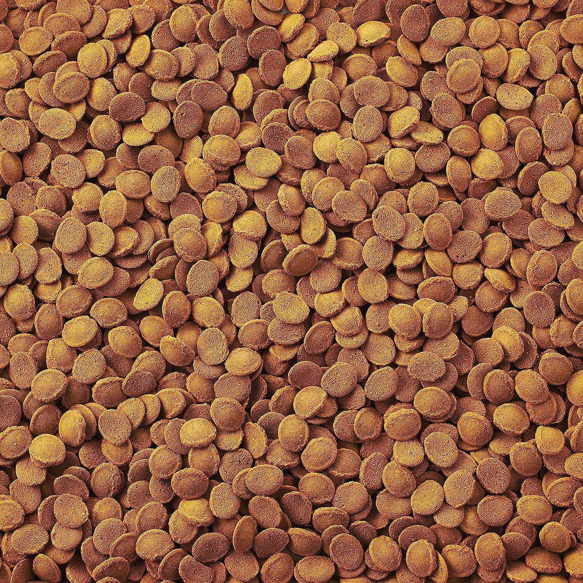 Fish Food Wafers I750370