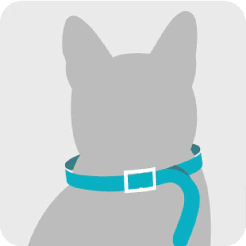 Flea & Tick Collar for Cats T8786