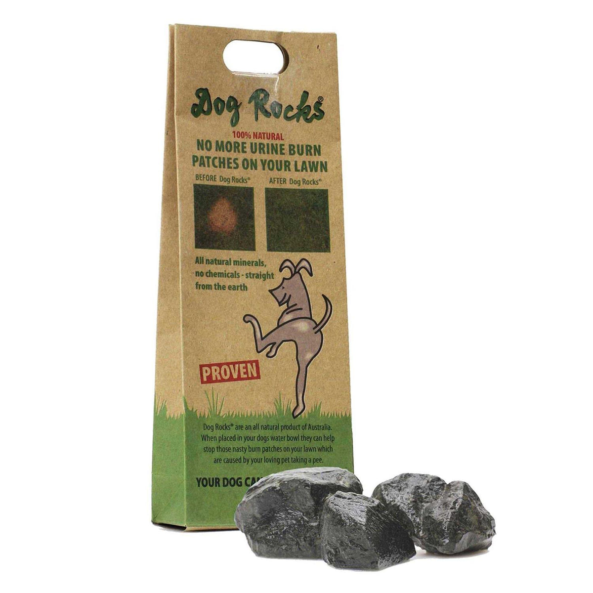 Dog Rocks T80731