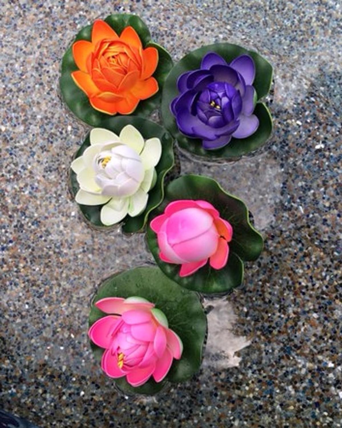 Water Garden Fountain Koi Pond Kit with Liner & Pump, 9' X 6' Liner & 5 Water Lilies, Pack of 2 L116